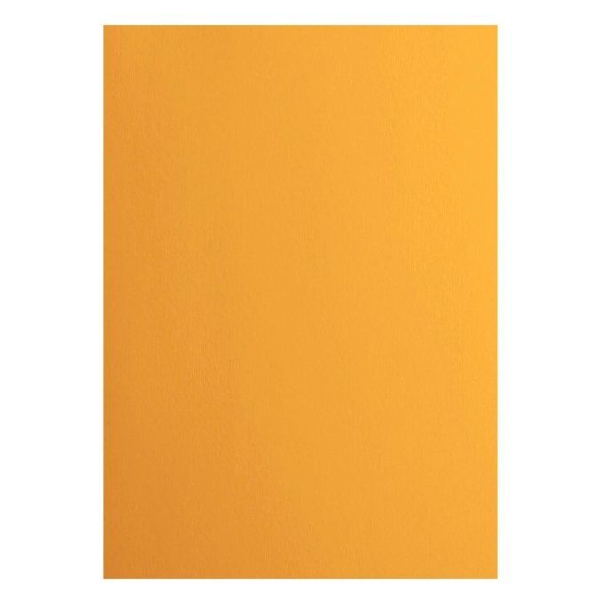 Cardstock Couleur : grapefruit, 216g, lot de 10 feuilles - Format A4 (lisse)