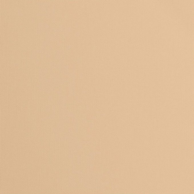 Lot de 10 Feuilles avec 5 cardstock couleur parchemin et 5 papiers pailletés  light gold -format A4