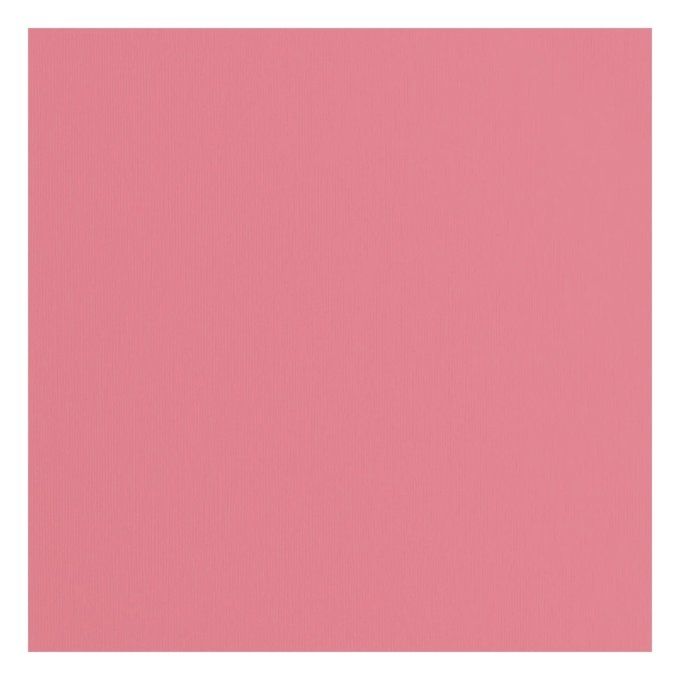 Cardstock Couleur : Beetroot, 216g, lot de 20 feuilles - 30x30cm (texturé)