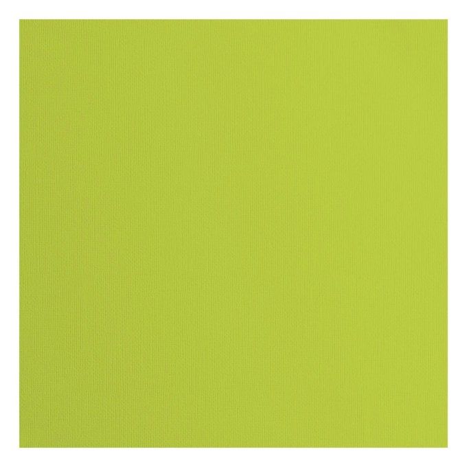 Cardstock Couleur : lime, 216g, lot de 20 feuilles - 30x30cm (texturé)