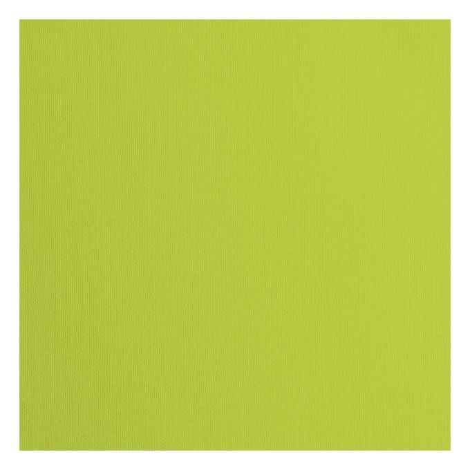 Cardstock Couleur : lime, 216g, lot de 20 feuilles - 30x30cm (texturé)