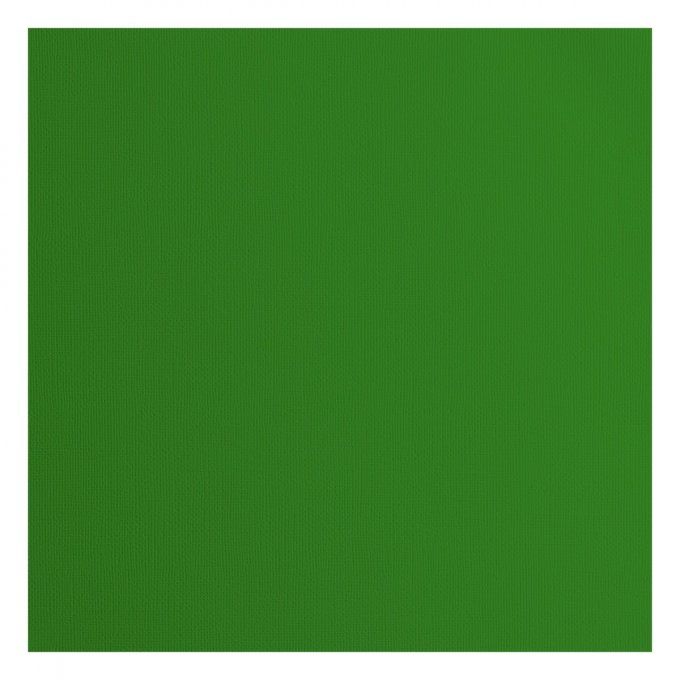 Cardstock Couleur : Grasshopper, 216g, lot de 20 feuilles - 30x30cm (texturé)