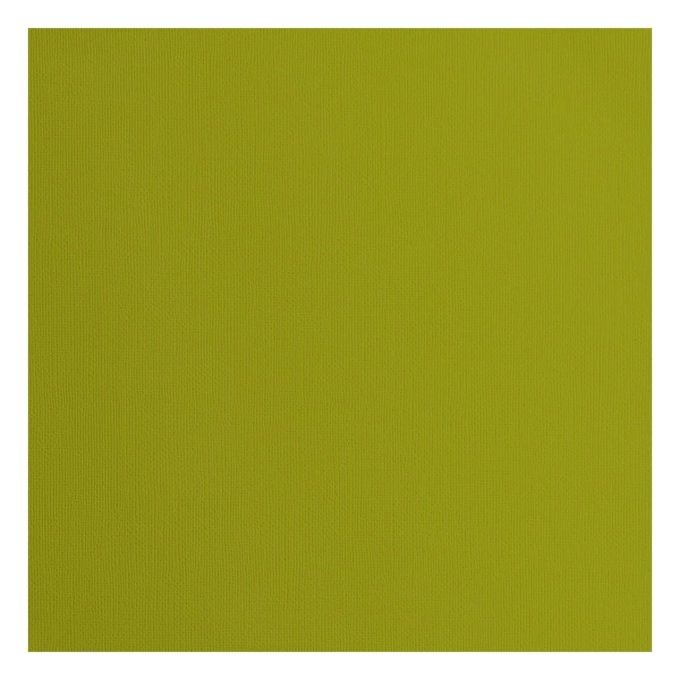 Cardstock Couleur : Fern, 216g, lot de 20 feuilles - 30x30cm (texturé)