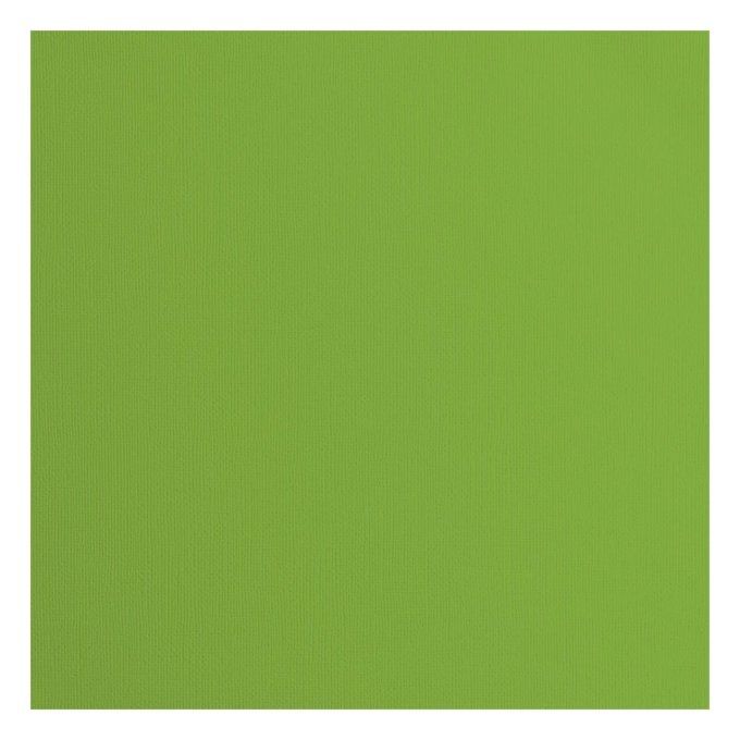 Cardstock Couleur : Frog, 216g, lot de 20 feuilles - 30x30cm (texturé)