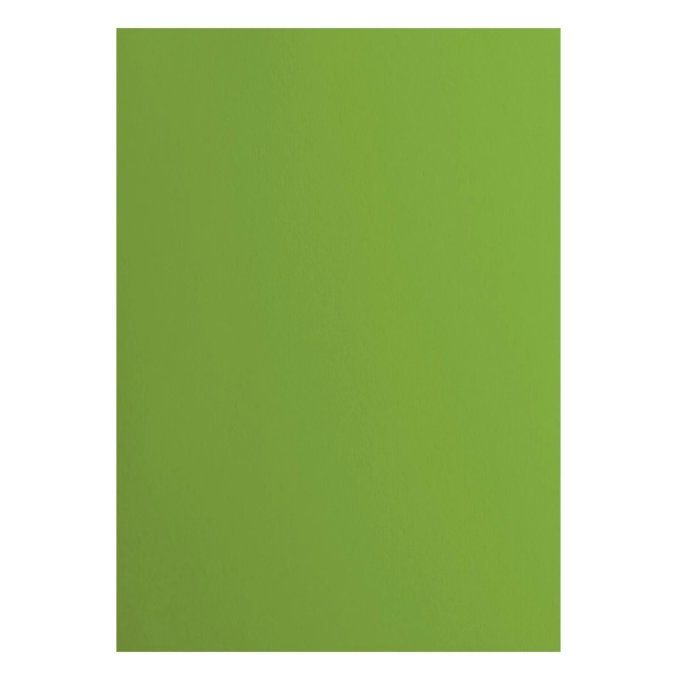 Cardstock Couleur : Frog, 216g, lot de 10 feuilles - Format A4 (lisse)