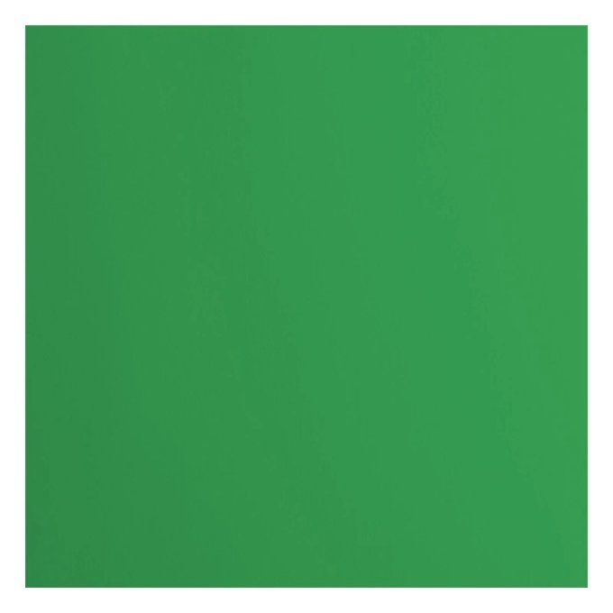 Cardstock Couleur : Holly, 216g, lot de 20 feuilles - 30x30cm (lisse)