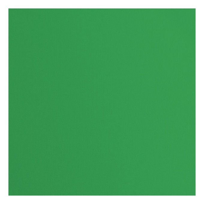 Cardstock Couleur : Holly, 216g, lot de 20 feuilles - 30x30cm (texturé)