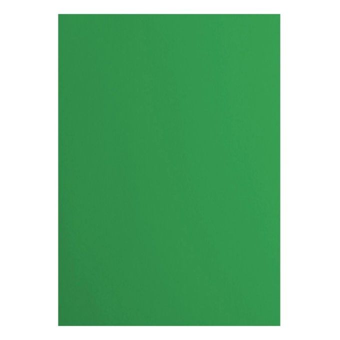 Cardstock Couleur : Holly, 216g, lot de 10 feuilles - Format A4 (lisse)
