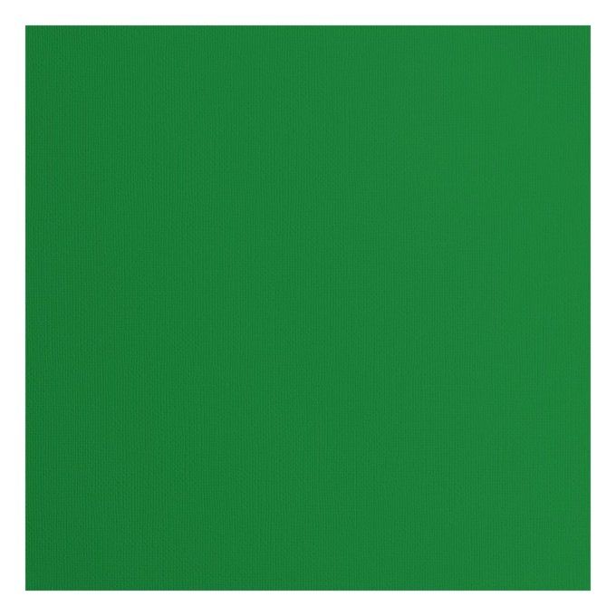 Cardstock Couleur : Brocoli, 216g, lot de 20 feuilles - 30x30cm (texturé)