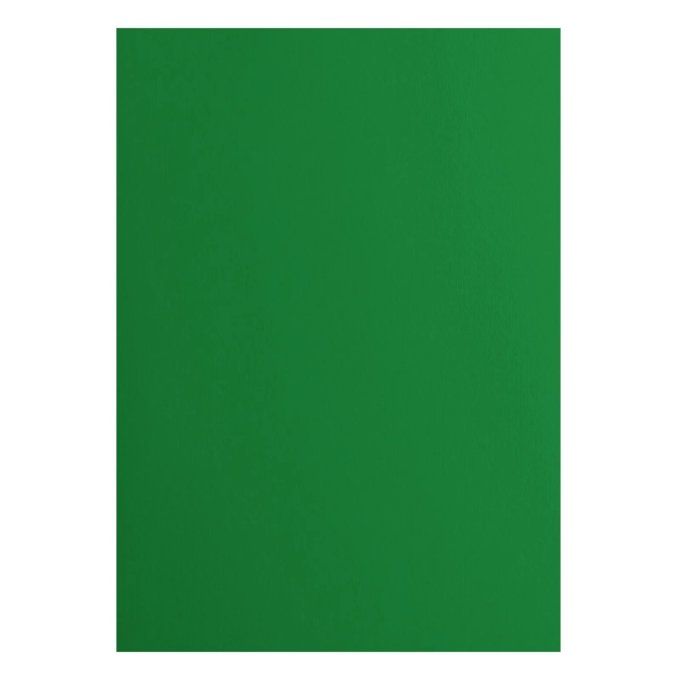 Cardstock Couleur : Broccoli, 216g, lot de 10 feuilles - Format A4 (lisse)