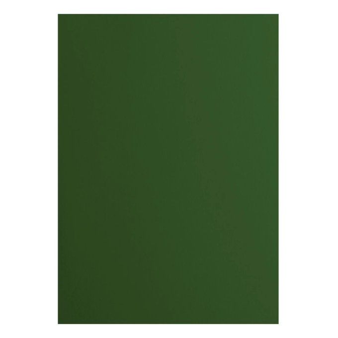 Cardstock Couleur : pin, 216g, lot de 10 feuilles - Format A4 (lisse) 