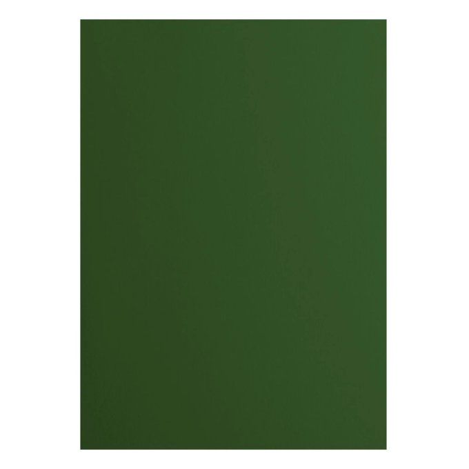 Cardstock Couleur : pin, 216g, lot de 10 feuilles - Format A4 (lisse)