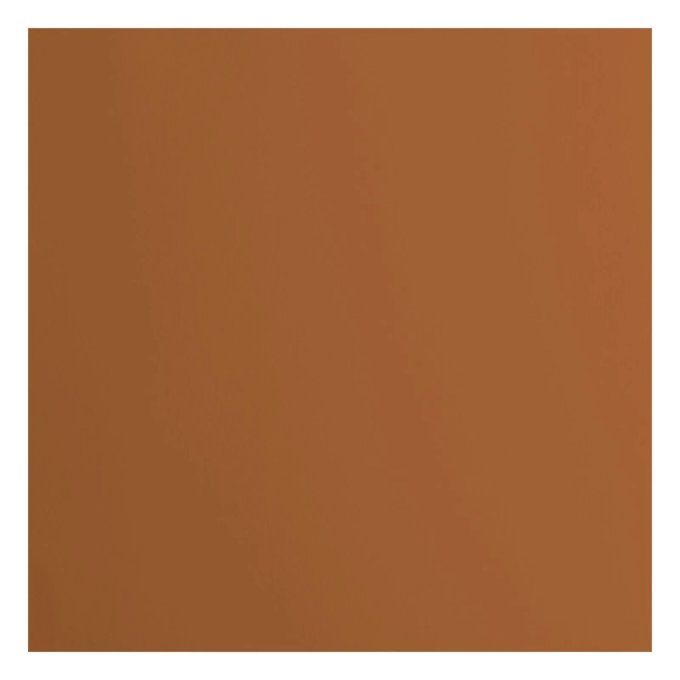 Cardstock Couleur : Brick, 216g, lot de 20 feuilles - 30x30cm (lisse)