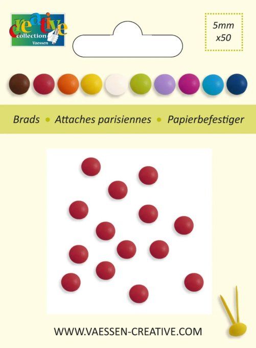 50 attache-parisiennes, diamètre 5mm, couleur : bordeaux