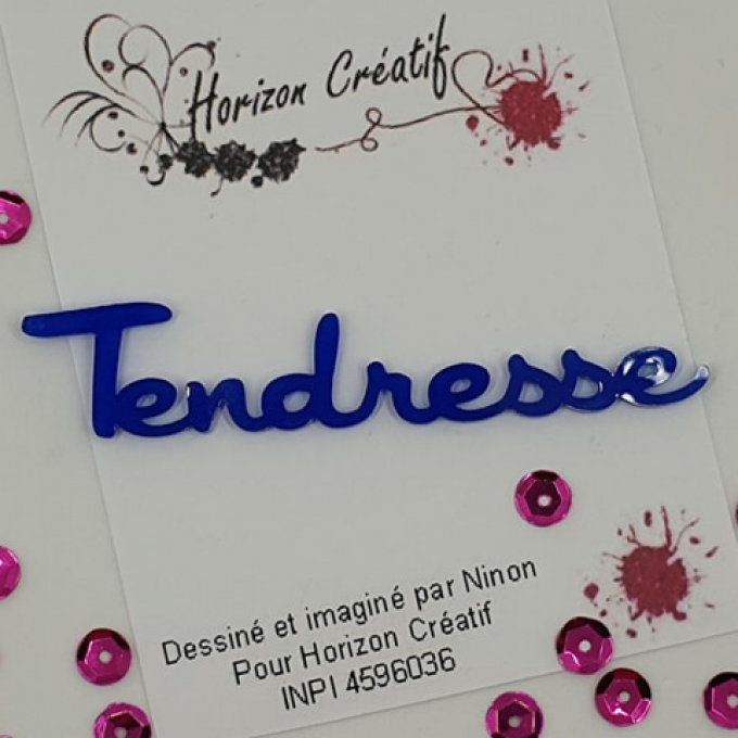 Mot en acrylique : Tendresse - 100% horizon créatif (dimension 8.2x1.6cm environ), à l'unité