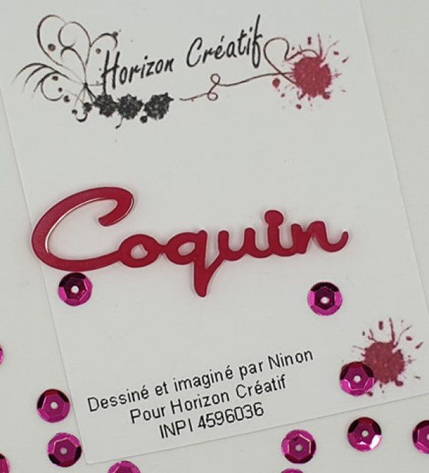 Mot en acrylique : Coquin - 100% horizon créatif (dimension 6.2x2cm environ), à l'unité