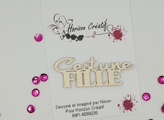 Chipboard : C'est un fille, 100% horizon créatif, à l'unité