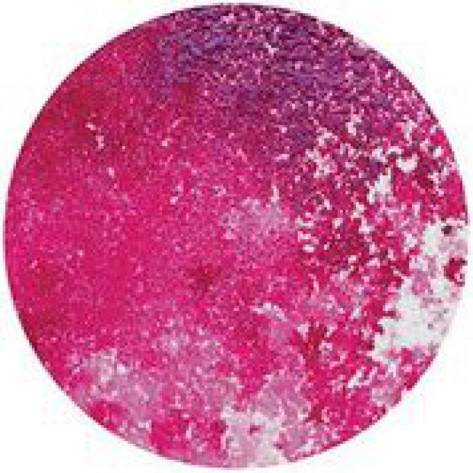Shimmer powder, poudre pigmentée, Cherry Bomb, Nuvo, 20ml