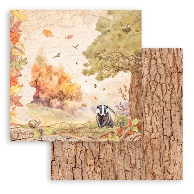 Collection Woodland, 30x30cm - 10 feuilles motif recto verso - Stamperia - 190g 