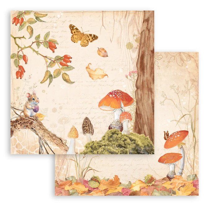 Collection Woodland, 30x30cm - 10 feuilles motif recto verso - Stamperia - 190g 