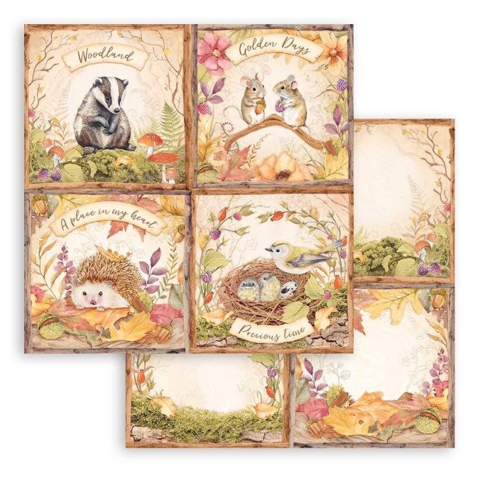 Collection Woodland, 30x30cm - 10 feuilles motif recto verso - Stamperia - 190g 