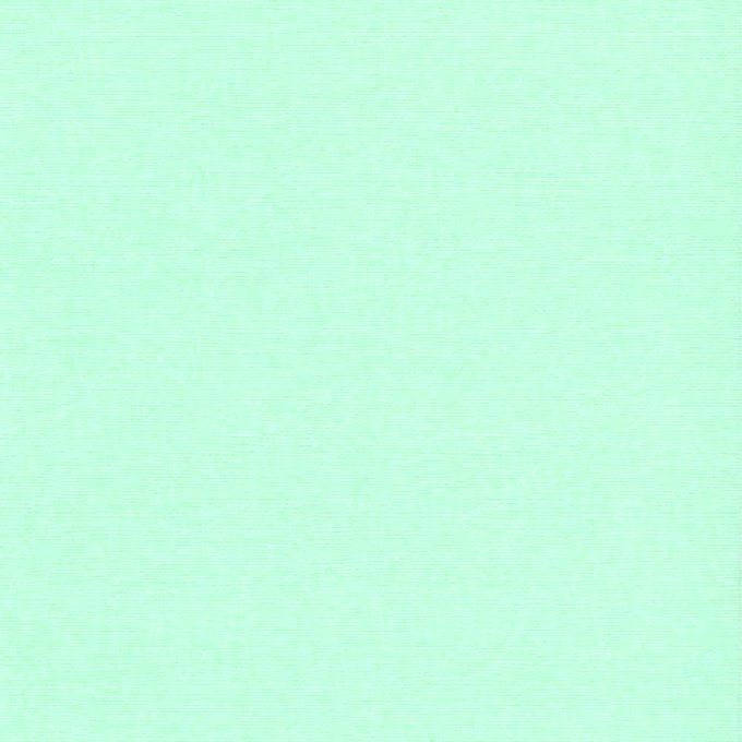 Cardstock, Pang, 216g, 25 feuilles-30x30cm (texturé)-Scrapberry's (voir description)