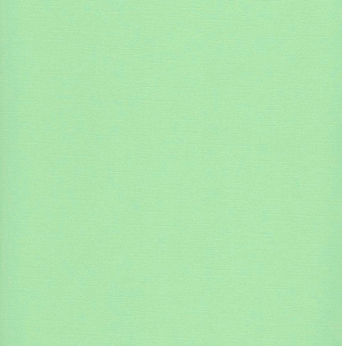 Cardstock, Pastel green, 216g, 25 feuilles-30x30cm (texturé)-Scrapberry's (voir description)