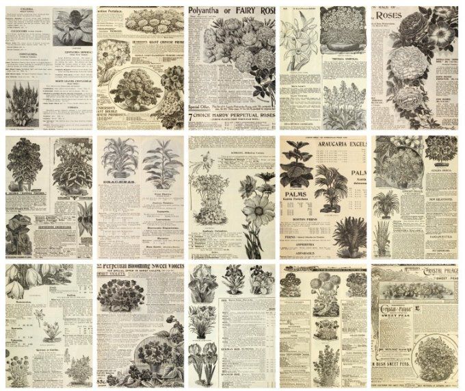 30 feuilles, Dimension : 14x20cm environ, vieux papiers : thème fleurs