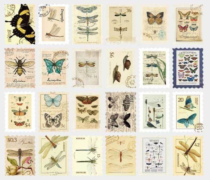 48 stickers en forme de timbre, Insectes - 24 modèles