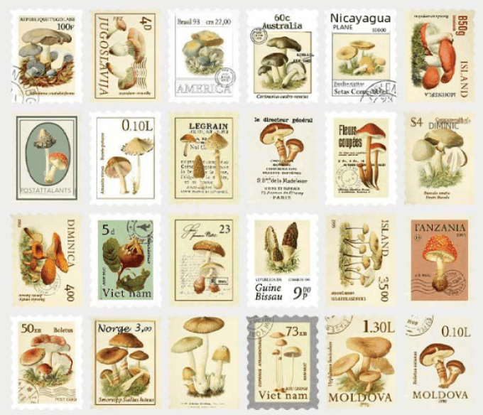 48 stickers en forme de timbre, Champignons - 24 modèles