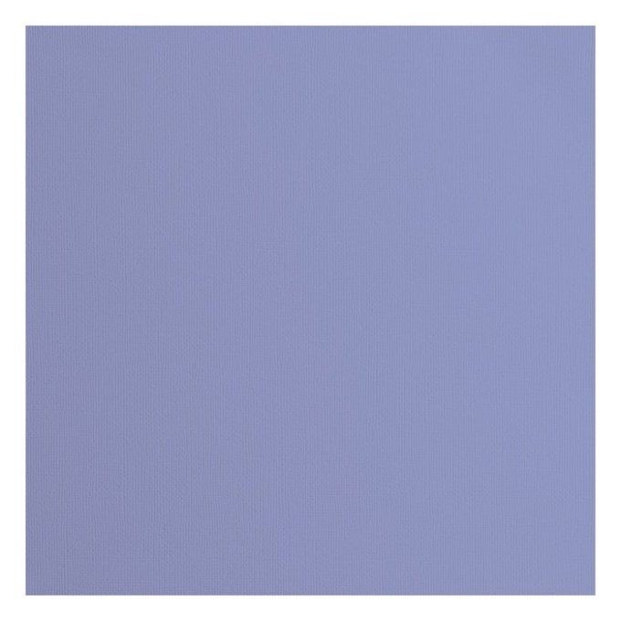 Cardstock Couleur : steel, 216g, lot de 20 feuilles - 30x30cm (texturé)