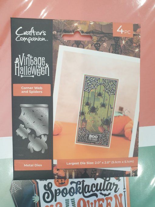 Lot N°4 - Spooktacular Halloween
