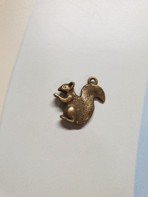 Breloque en métal couleur bronze, écureuil, dimension : 2.2x2cm environ , à l'unité