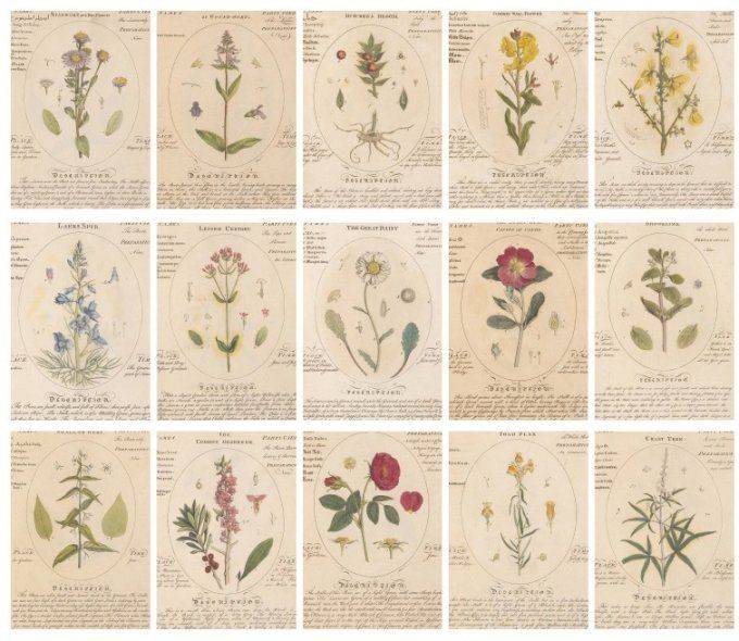 30 feuilles, Dimension : 14x20cm environ, Fleurs