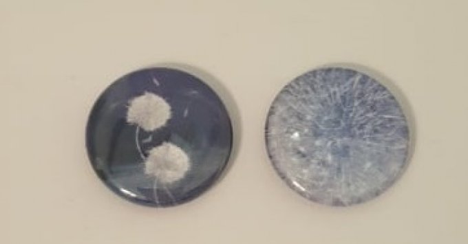 2 badges, 25mm de diamètre - Pissenlit fond bleu