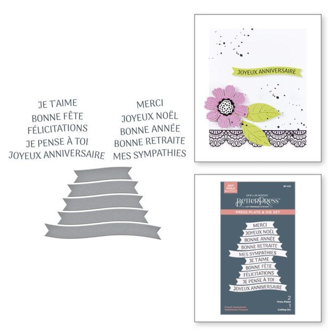 2 betterPress letterpress + 1 die, Spellbinders - Sentiments, press plate