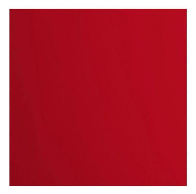 Cardstock Couleur : Poppy, 216g, lot de 20 feuilles - 30x30cm (lisse)