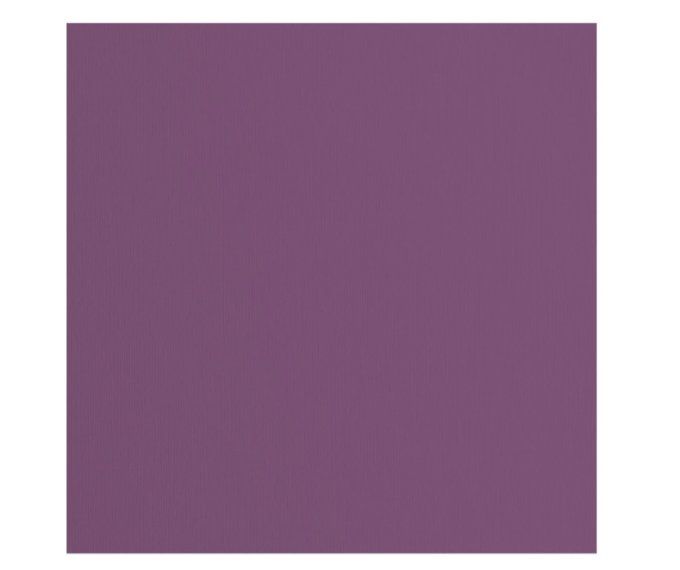 Cardstock Couleur : clematis, 216g, lot de 20 feuilles - 30x30cm (texturé)