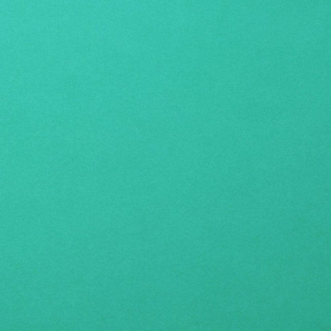 Cardstock Couleur : spa, 216g, lot de 20 feuilles - 30x30cm (lisse)