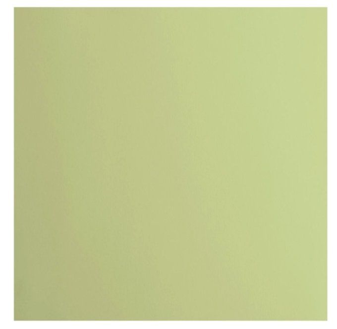 Cardstock Couleur : anise, 216g, lot de 20 feuilles - 30x30cm (lisse)