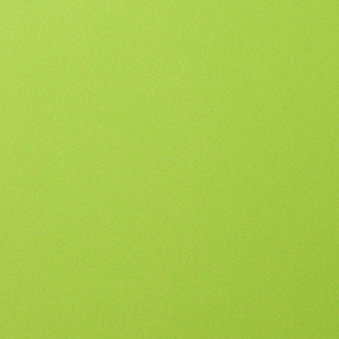 Cardstock Couleur : lime, 216g, lot de 20 feuilles - 30x30cm (lisse)