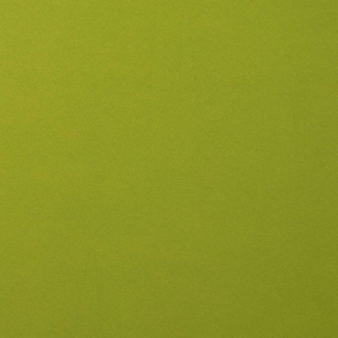 Cardstock Couleur : Fern, 216g, lot de 20 feuilles - 30x30cm (lisse)