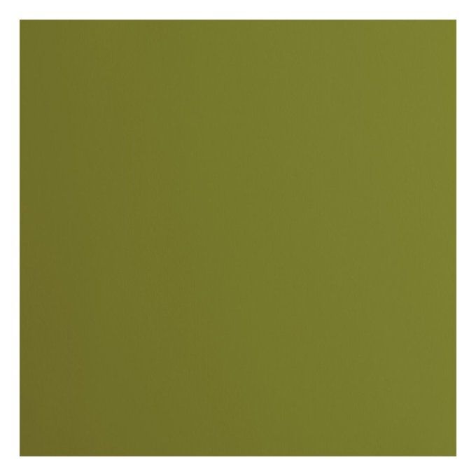 Cardstock Couleur : Olive, 216g, lot de 20 feuilles - 30x30cm (lisse)