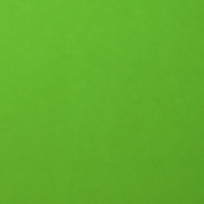 Cardstock Couleur : Frog, 216g, lot de 20 feuilles - 30x30cm (lisse)