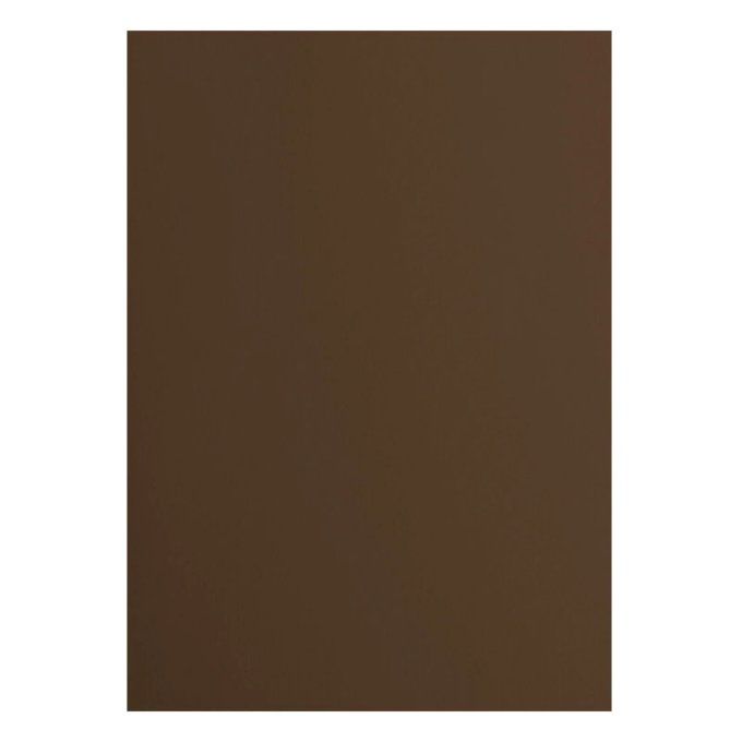 Cardstock Couleur : Hazelnut, 216g, lot de 10 feuilles - Format A4 (lisse)