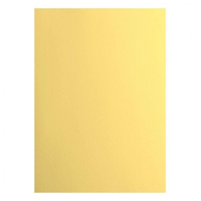Cardstock Couleur : Asparagus, 216g, lot de 10 feuilles - Format A4 (lisse)