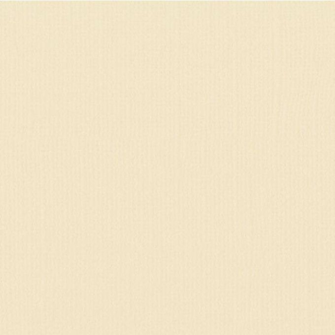Cardstock Couleur : Raffia, 216g, lot de 10 feuilles - Format A4 (texturé)