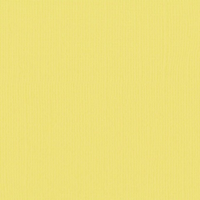 Cardstock Couleur : crocus, 216g, lot de 20 feuilles - 30x30cm (texture)