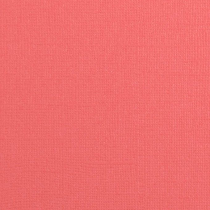 Cardstock Couleur : Anemone, 216g, lot de 20 feuilles - 30x30cm (texturé)