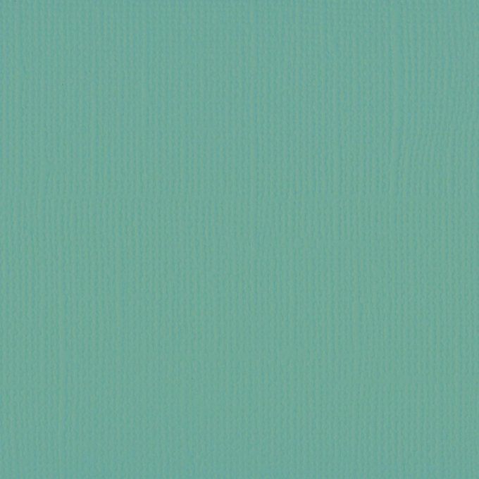 Cardstock Couleur : Iguana, 216g, lot de 20 feuilles - 30x30cm (texturé)